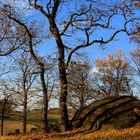 Herbst auf dem "Dritten Steinhügel"