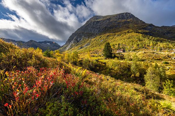 Herbst auf dem Fjell