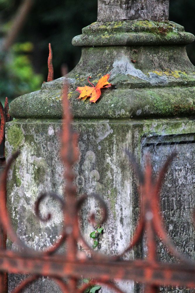Herbst auf dem Friedhof 2
