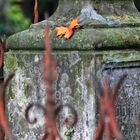 Herbst auf dem Friedhof 2