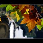 Herbst auf dem Friedhof