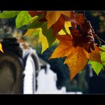 Herbst auf dem Friedhof