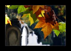 Herbst auf dem Friedhof