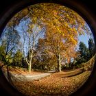 Herbst auf dem Friedhof