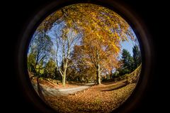 Herbst auf dem Friedhof