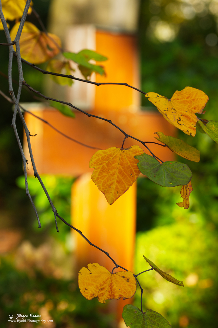 Herbst auf dem Friedhof