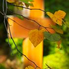 Herbst auf dem Friedhof