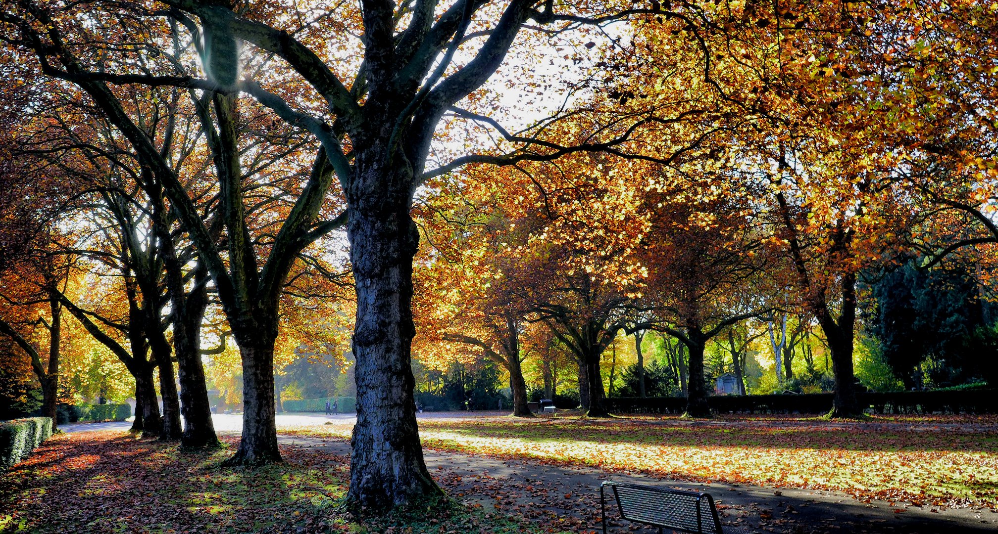 Herbst auf dem Friedhof