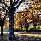 Herbst auf dem Friedhof