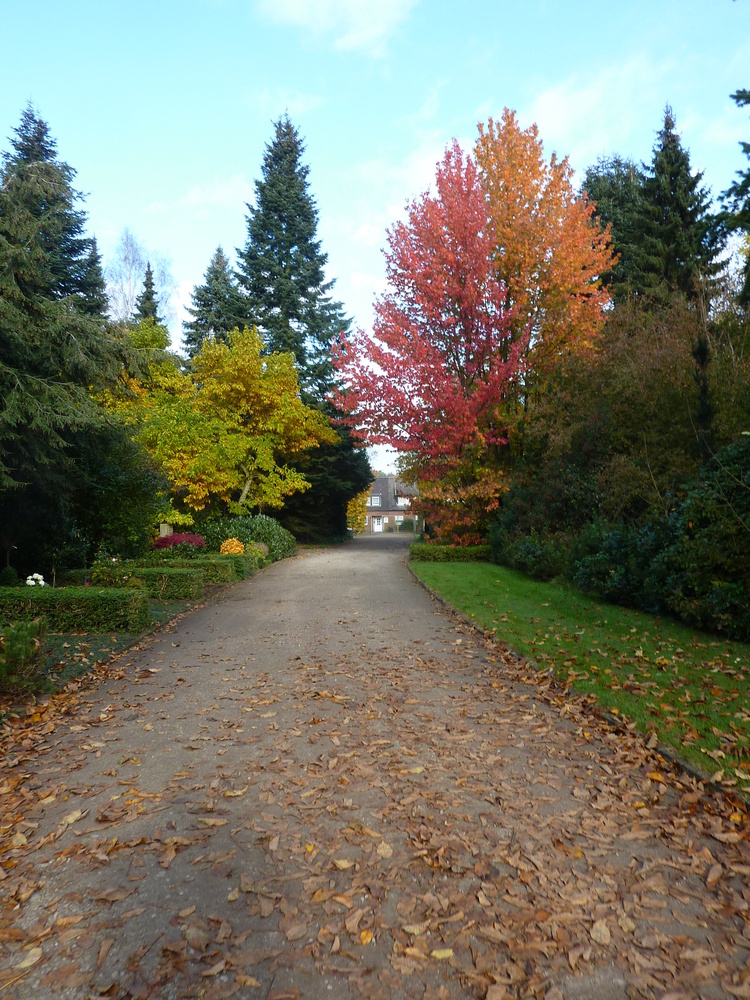 Herbst auf dem Friedhof