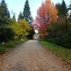 Herbst auf dem Friedhof