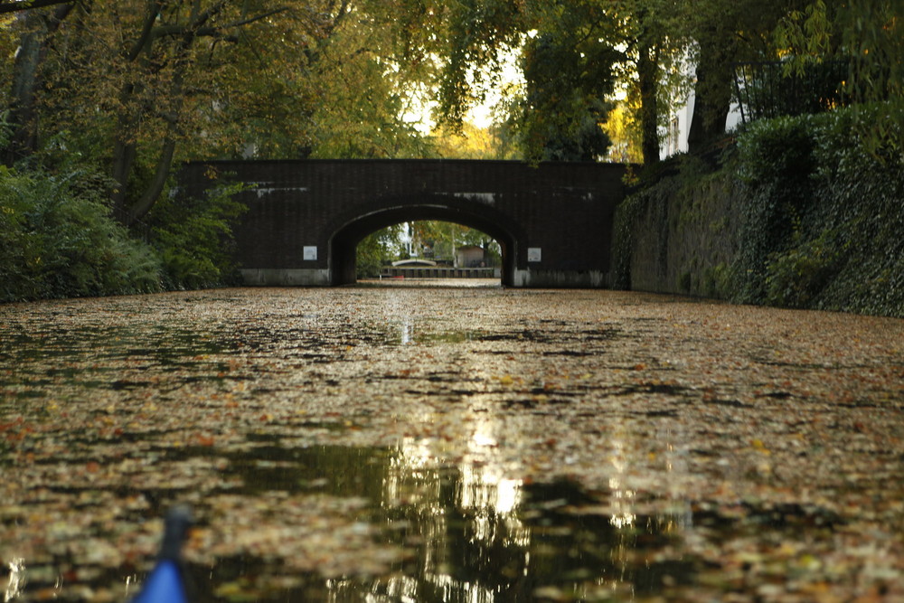 Herbst auf dem Goldbekkanal