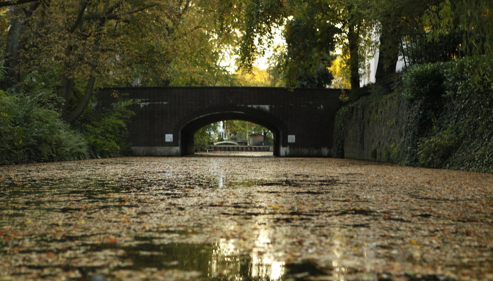 Herbst auf dem Goldbekkanal, Vers.2