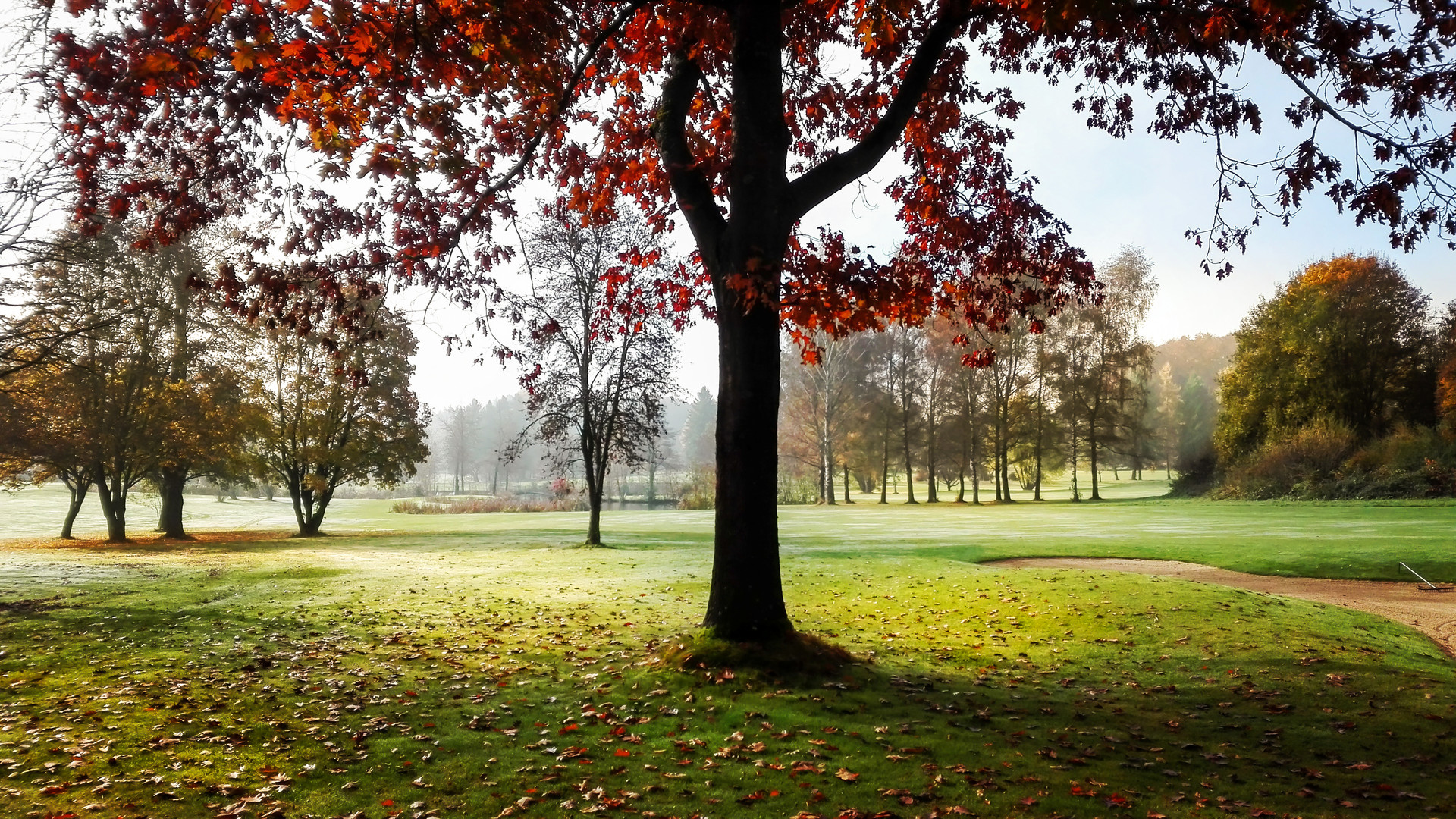 Herbst auf dem Golfplatz