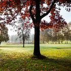 Herbst auf dem Golfplatz