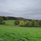 Herbst auf dem Hangarder Flur