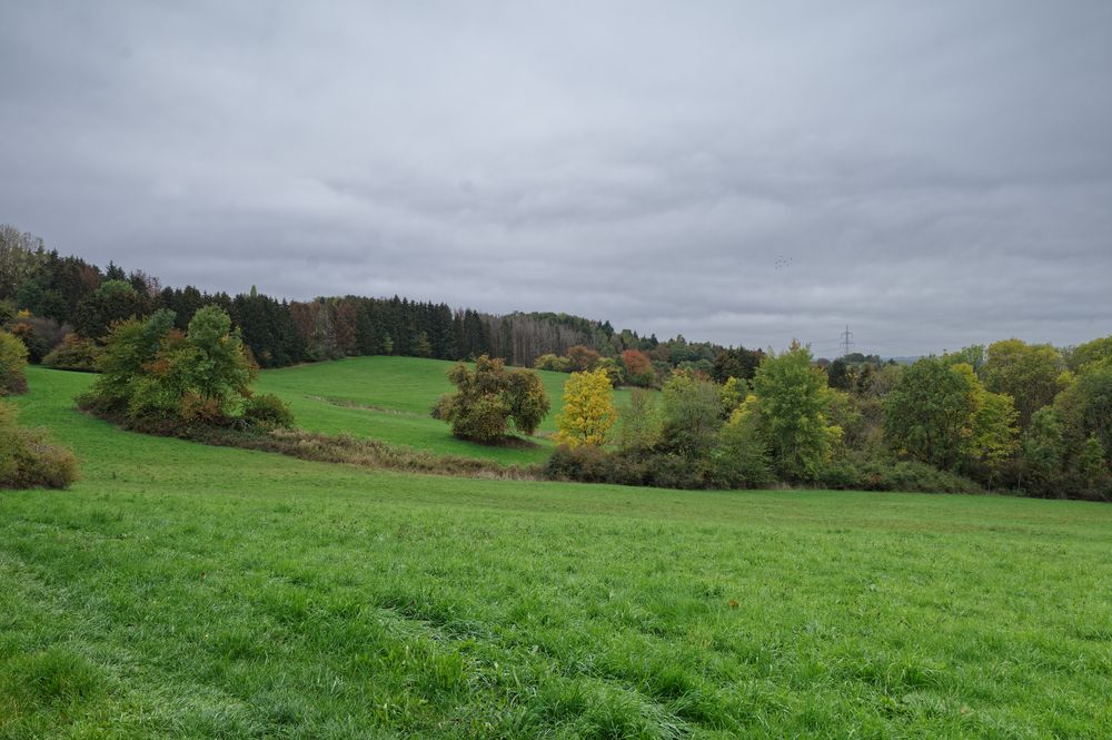 Herbst auf dem Hangarder Flur