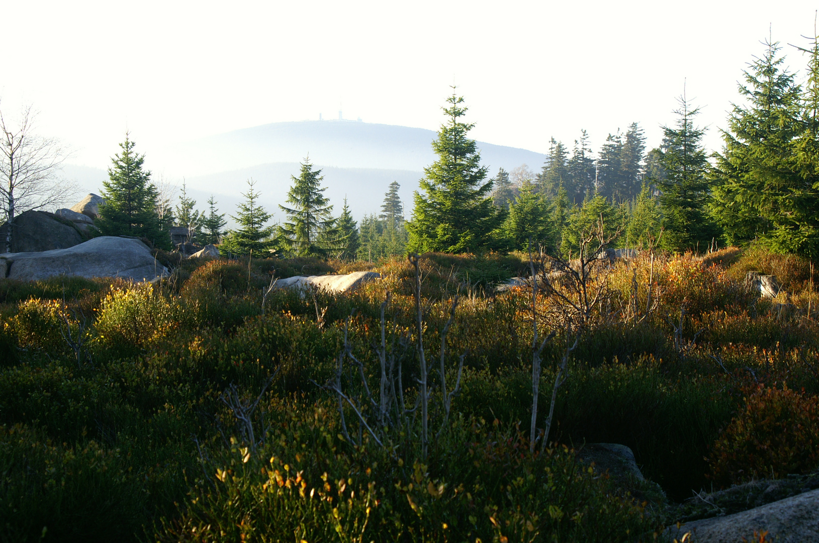 Herbst auf dem Harz