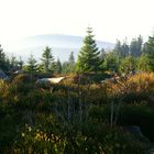 Herbst auf dem Harz