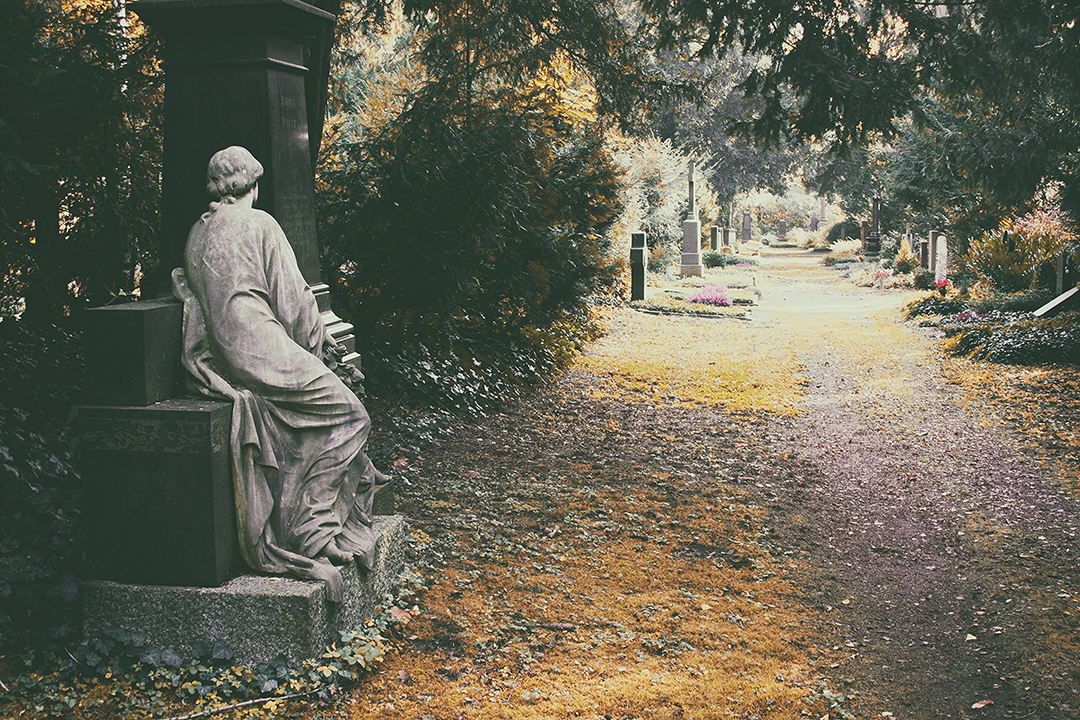 Herbst auf dem Hauptfriedhof