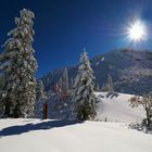 Herbst auf dem Hochkar