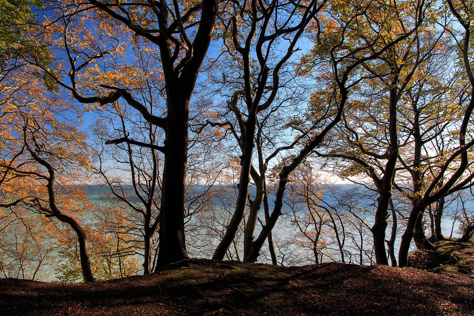 Herbst auf dem Hochuferweg im Jasmunder Nationalpark