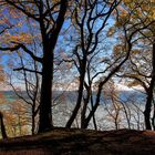 Herbst auf dem Hochuferweg im Jasmunder Nationalpark