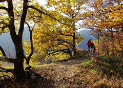 Herbst auf dem HW1 der Schwäbischen Alb