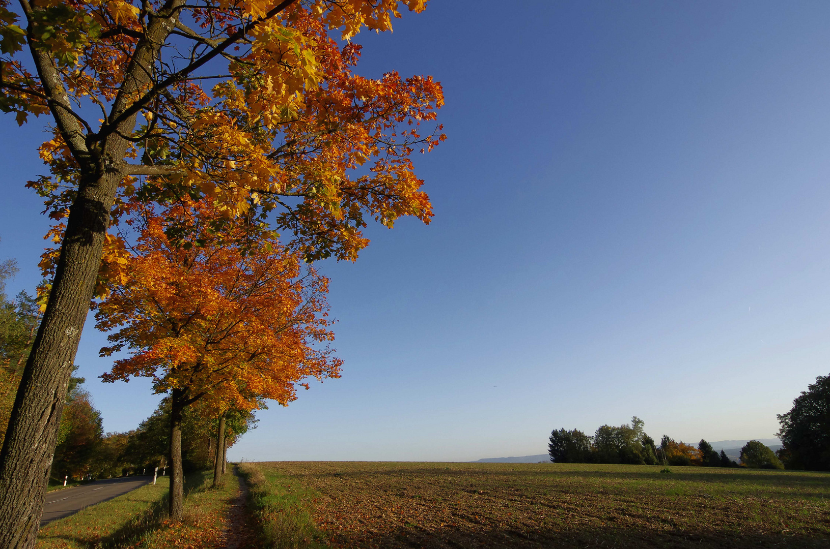 ...Herbst auf dem Jägerhaus