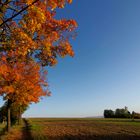 ...Herbst auf dem Jägerhaus