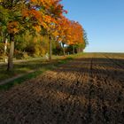 ...Herbst auf dem Jägerhaus