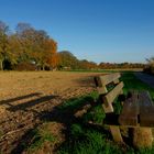 Herbst auf dem Jägerhaus