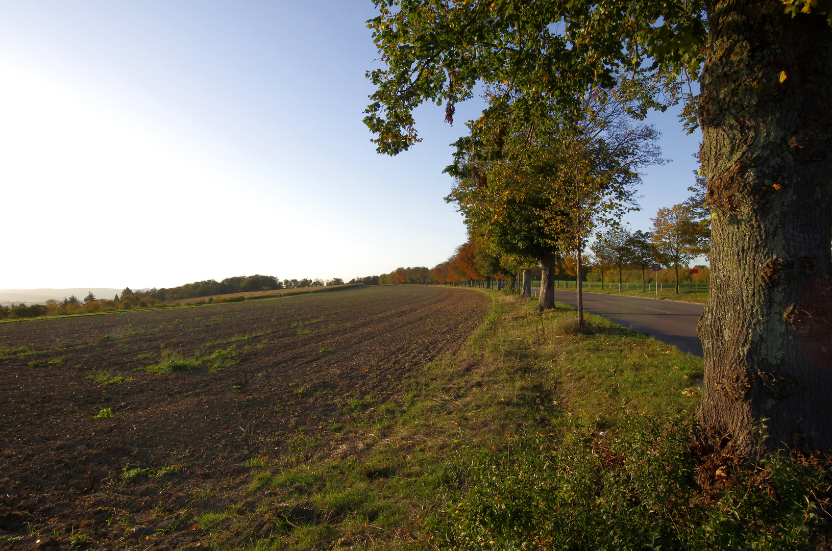 ..Herbst auf dem Jägerhaus