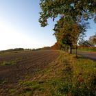 ..Herbst auf dem Jägerhaus