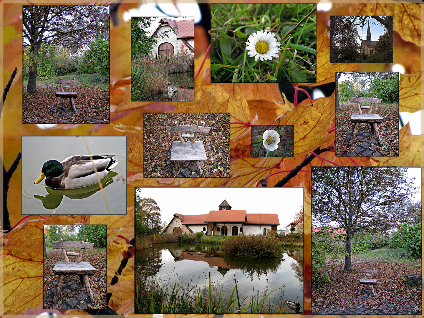 Herbst auf dem Jakobsberg