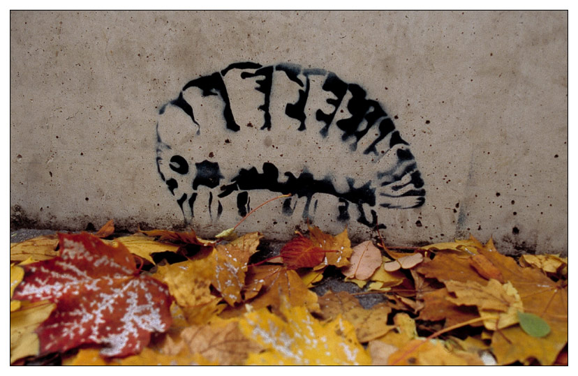 Herbst auf dem Kinderspielplatz