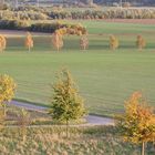 Herbst auf dem Kronsberg