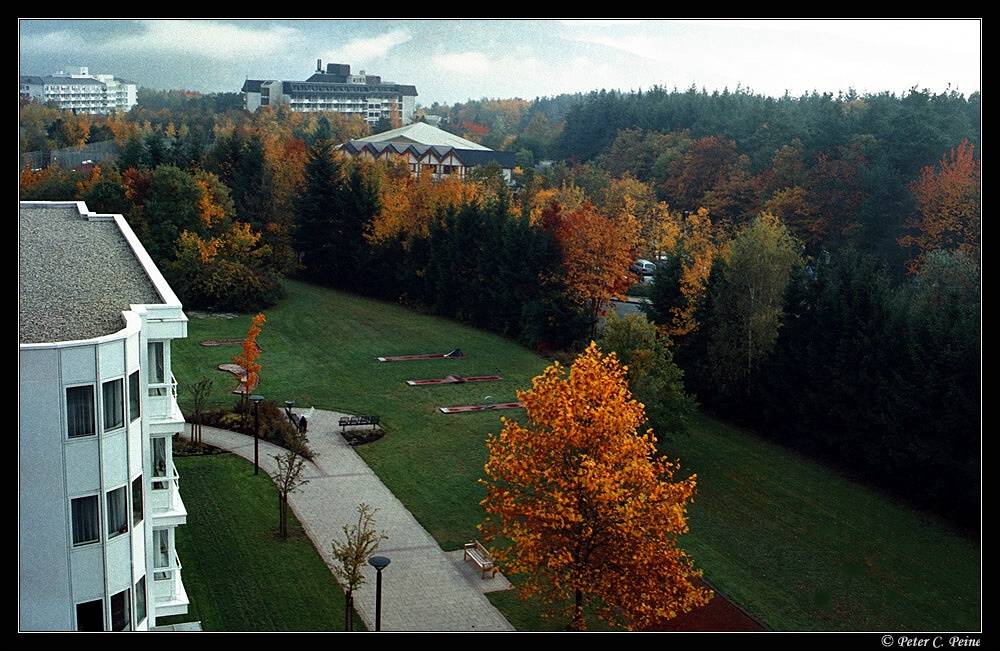 Herbst auf dem Kueser Plateau...