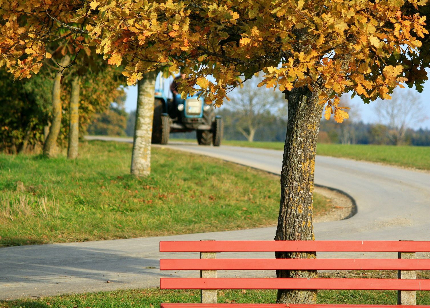 Herbst auf dem Land