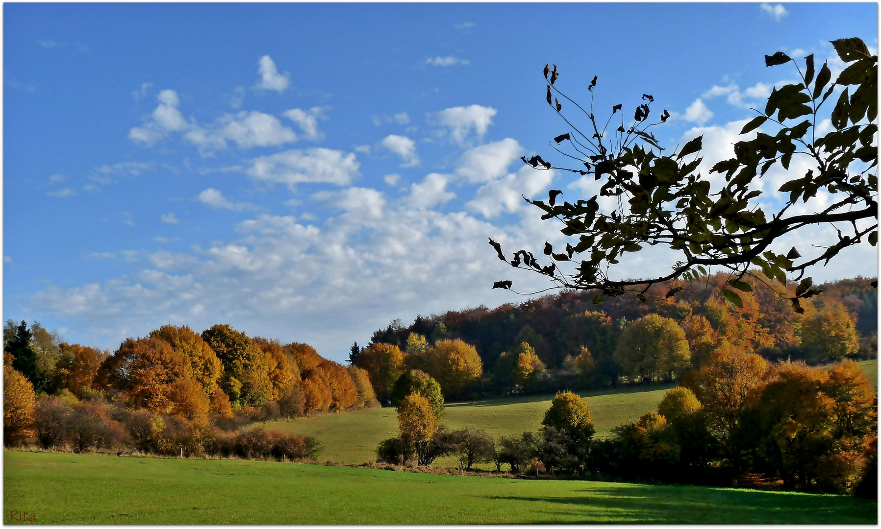 Herbst auf dem Land (3)...