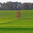 Herbst auf dem Land