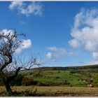 Herbst auf dem Land...