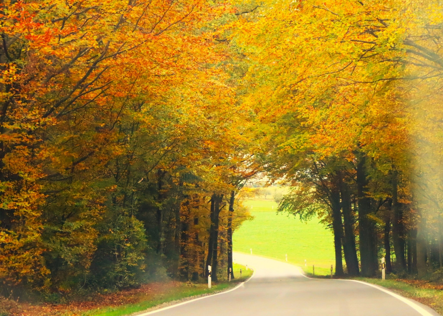 Herbst auf dem Land