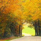 Herbst auf dem Land