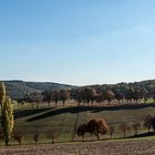 Herbst auf dem Land