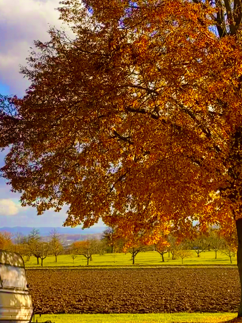 Herbst auf dem Land