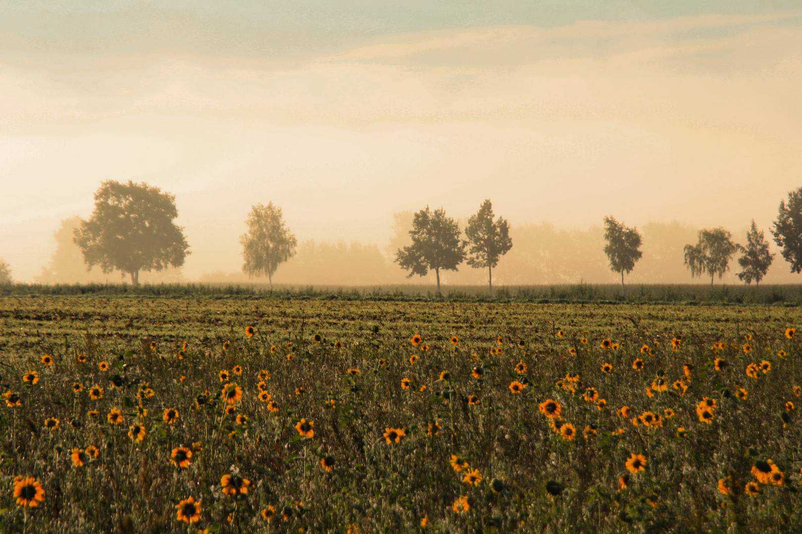 Herbst auf dem Land