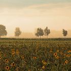 Herbst auf dem Land