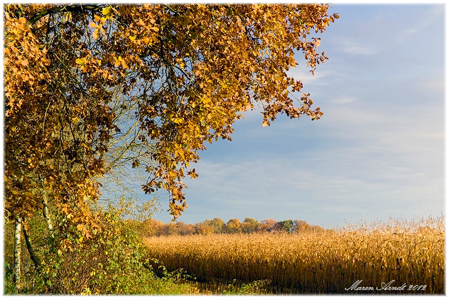 Herbst auf dem Land ...