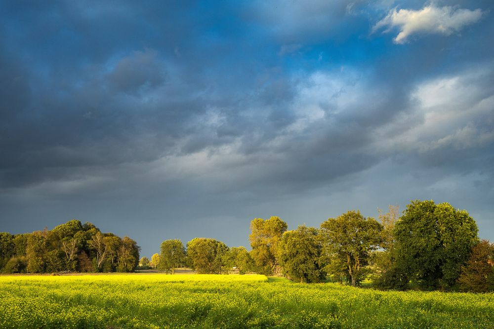 Herbst auf dem Lande